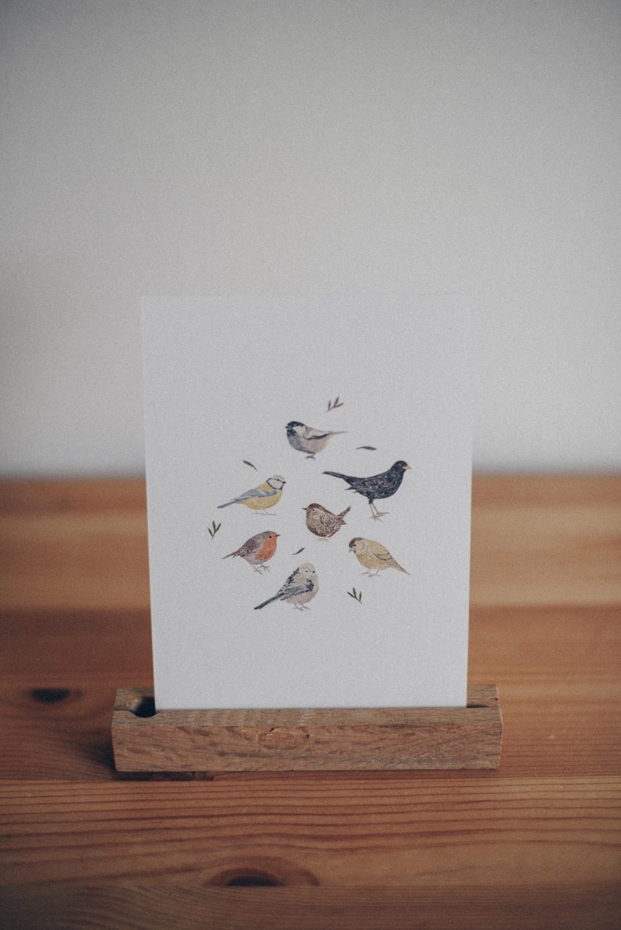 Postal "Birds" - Imagen 2