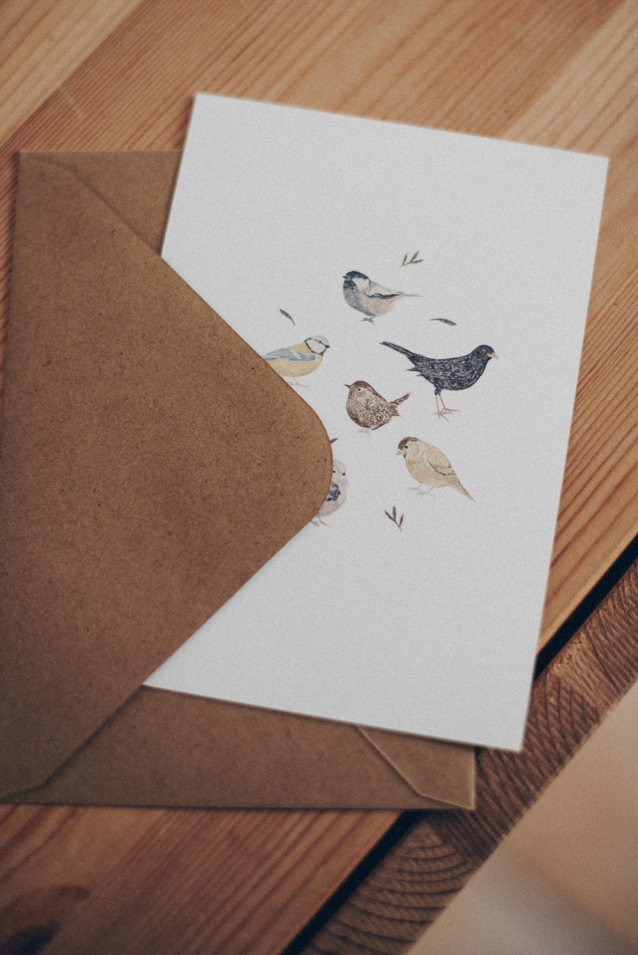Postal "Birds" - Imagen 5