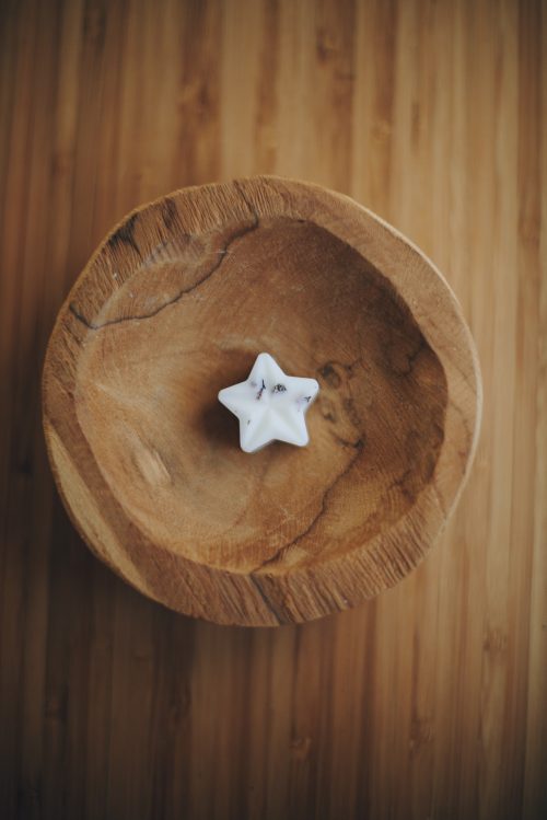 Sacred Forest - Botanical Wax Melt