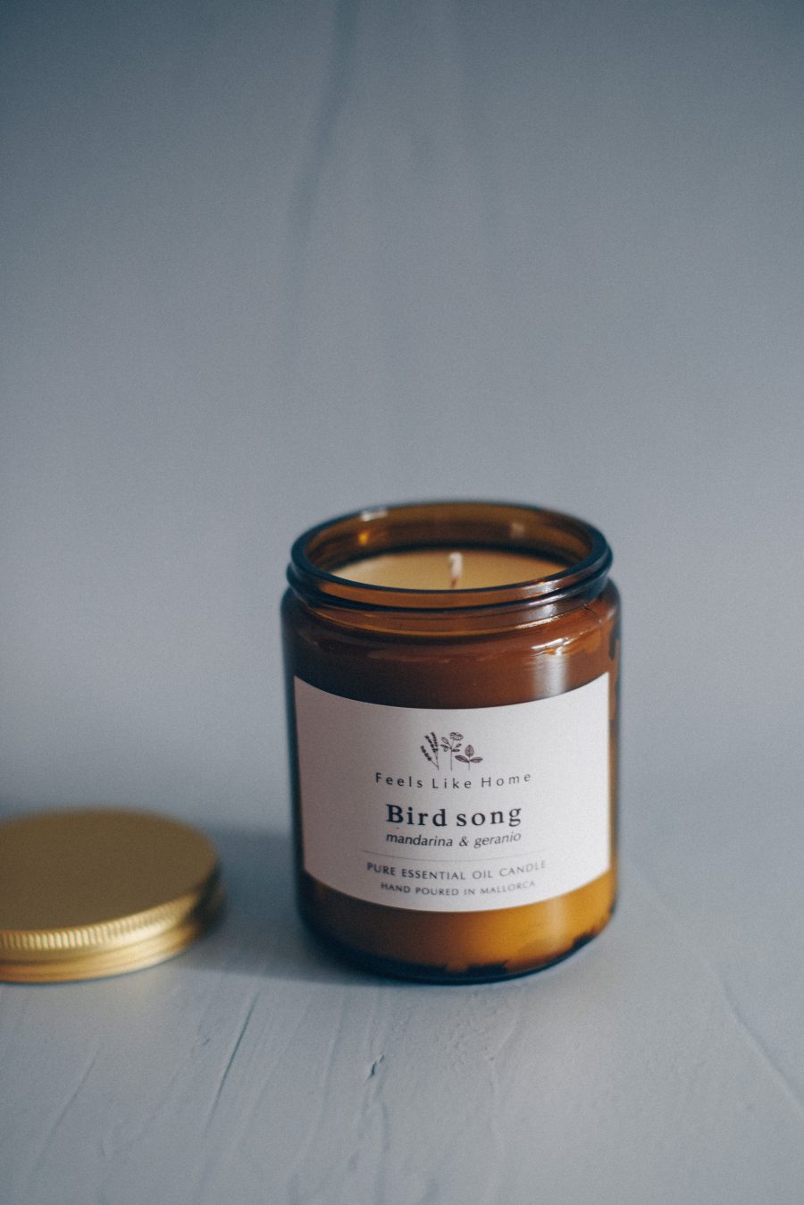 Bird Song - Imagen 2