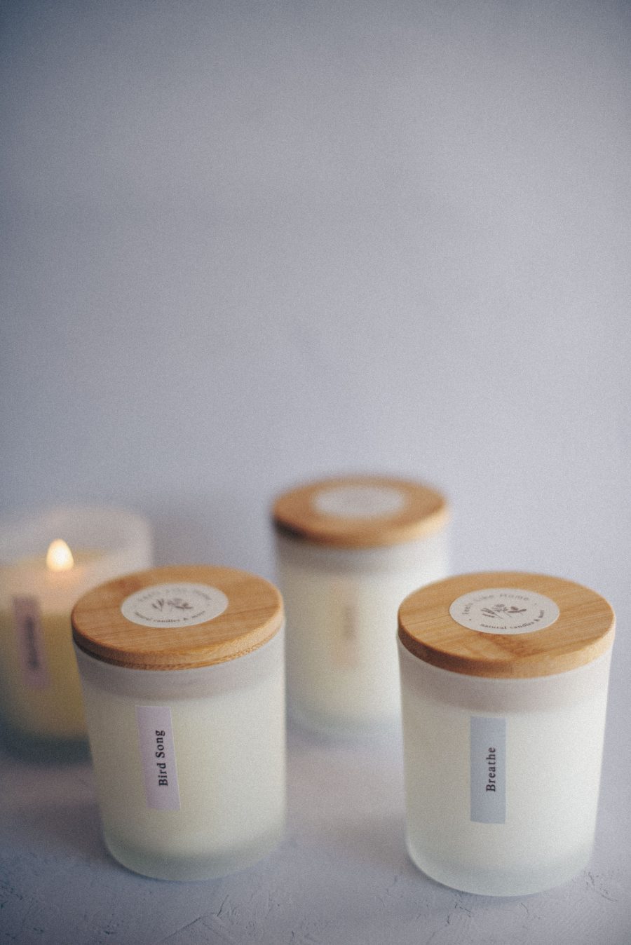 Light Collection - Imagen 4